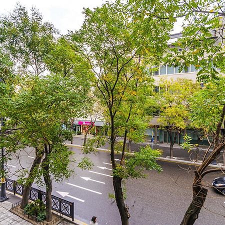 Vip Apartamen Nizami Street Appartement Bakoe Buitenkant foto